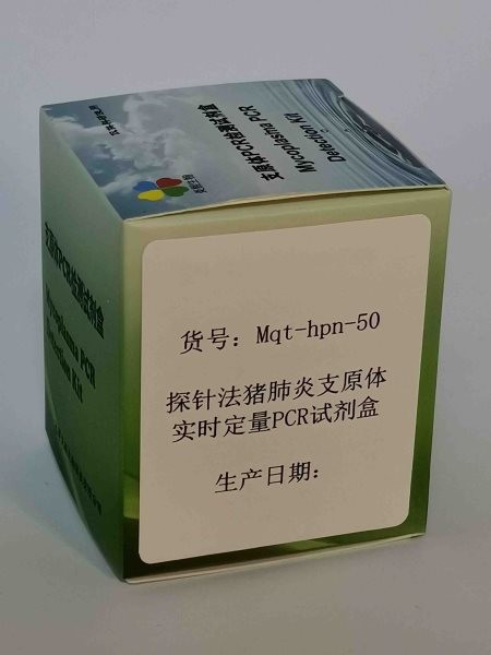 探针法猪肺炎支原体实时定量PCR试剂盒图2