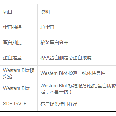 Western Blot