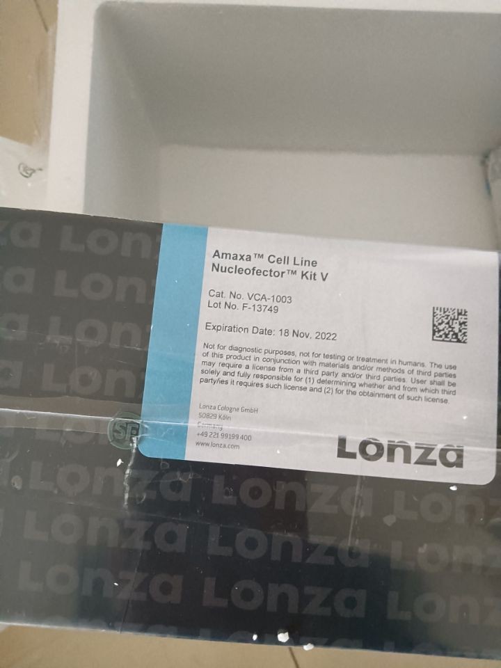 Lonza细胞转染试剂盒
