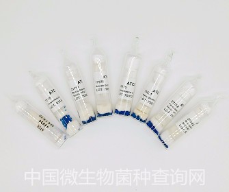 ATCC 43300 金黄色葡萄球菌图1