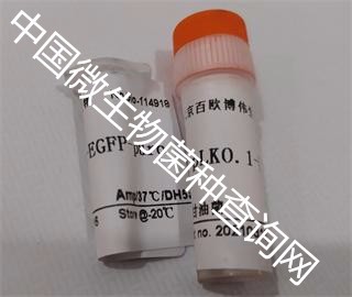 百欧博伟生物 KCTC 23833图1