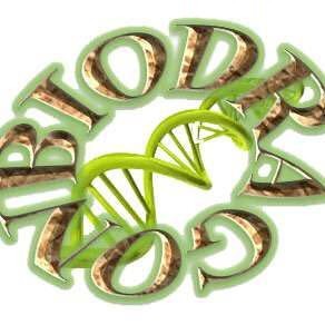 SuperNuclease（核酸酶）图1