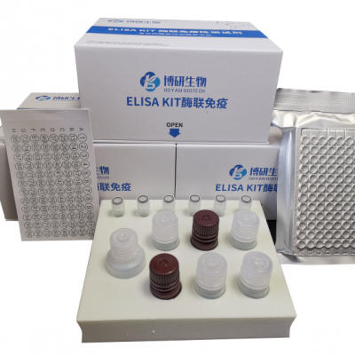 人白细胞介素1β（IL-1β）ELISA试剂盒