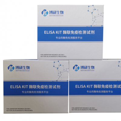人γ干扰素（IFN-γ）ELISA试剂盒