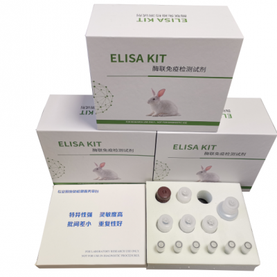 人白细胞介素17A（IL-17A）ELISA试剂盒
