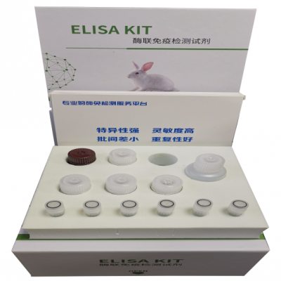 人白细胞介素4（IL-4）ELISA试剂盒