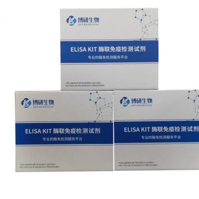 人免疫球蛋白G（IgG）ELISA试剂盒