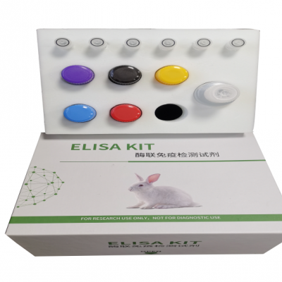 人髓过氧化物酶（MPO）ELISA试剂盒