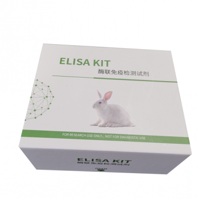 人免疫球蛋白A（IgA）ELISA试剂盒