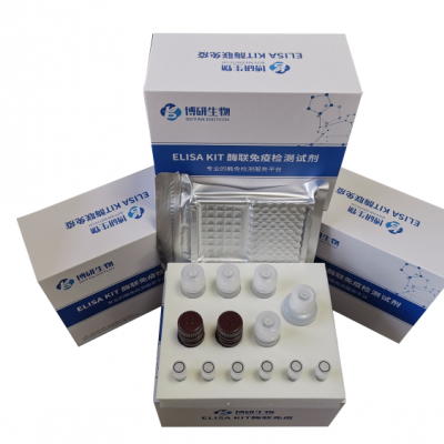 人白细胞介素21（IL-21）ELISA试剂盒