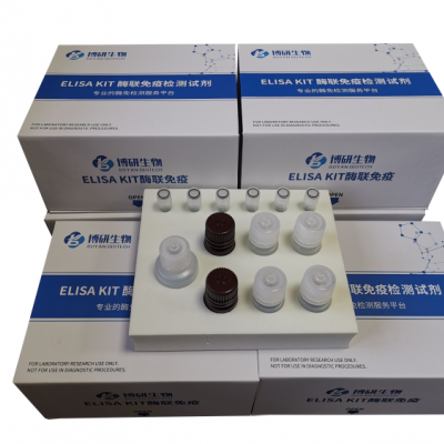 人P选择素（P-Selectin）ELISA试剂盒
