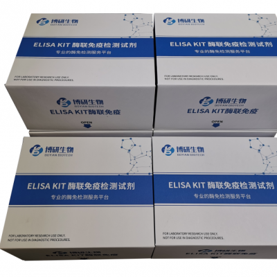人转化生长因子β2（TGF-β2）ELISA试剂盒