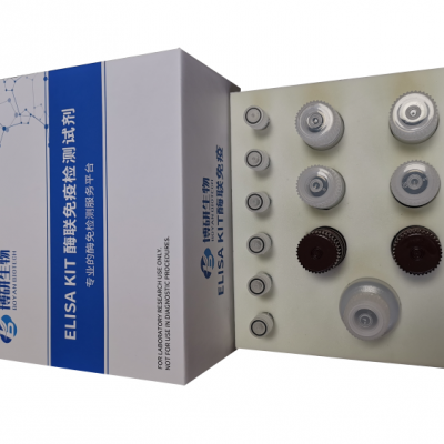 人白细胞介素15（IL-15）ELISA试剂盒