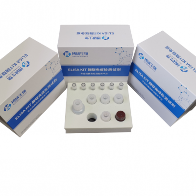人白细胞介素35（IL-35）ELISA试剂盒