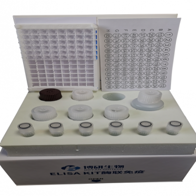 人基质金属蛋白酶1（MMP-1）ELISA试剂盒