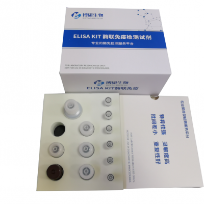 人粒细胞集落刺激因子（G-CSF）ELISA试剂盒