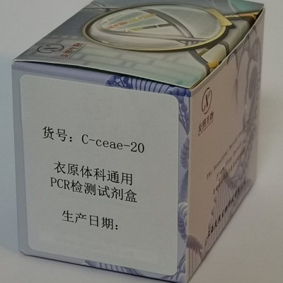 衣原体科通用PCR检测试剂盒