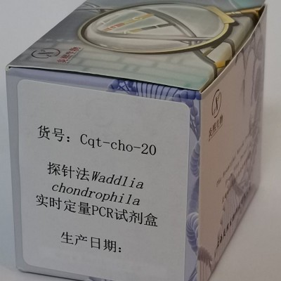 探针法Waddlia chondrophila定量PCR试剂