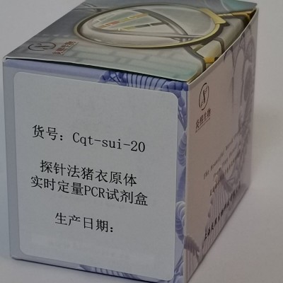 探针法猪衣原体实时定量PCR试剂盒