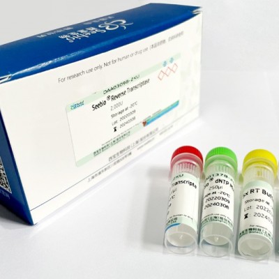 Seebio® Reverse Transcriptase