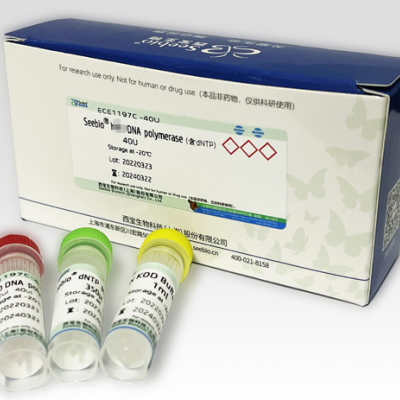 Enhan sTaq DNA Polymerase