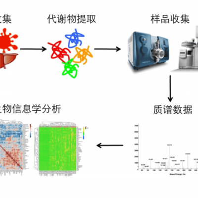 靶向代谢组学服务