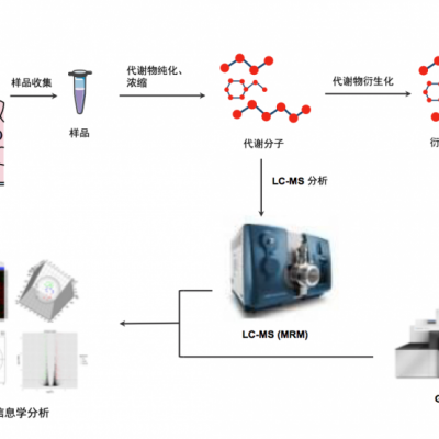 非靶向代谢组分析服务