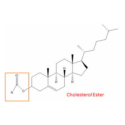 胆固醇酯分析服务
