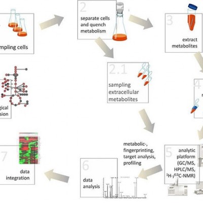 微生物代谢组学服务