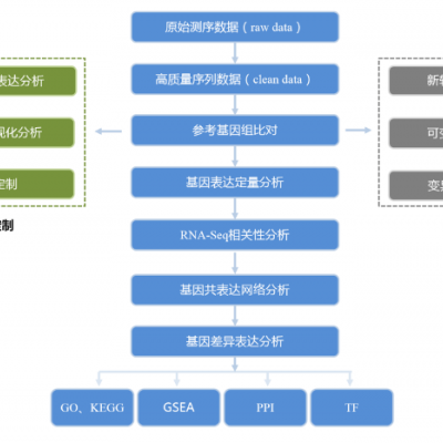 真核有参转录组测序