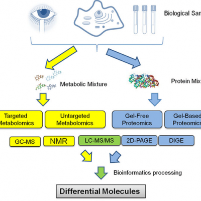 蛋白质组学与代谢组学整合分析