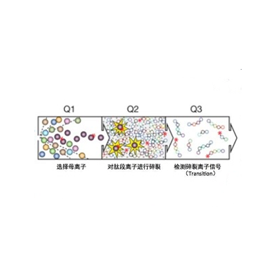 靶向蛋白质组学