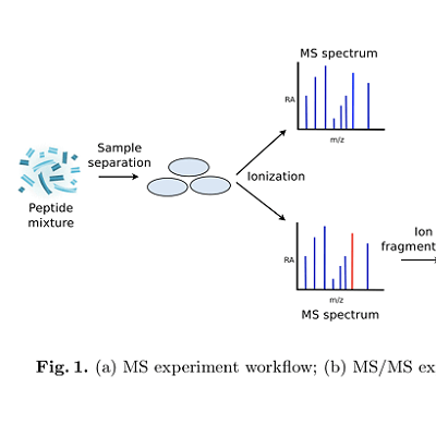 多肽质谱鉴定