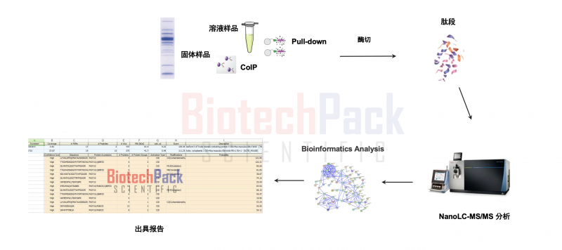 蛋白质相互作用质谱分析图1