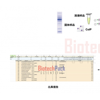 蛋白质相互作用质谱分析