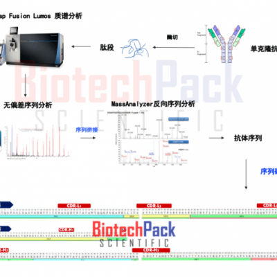 抗体测序