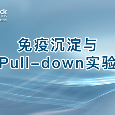 免疫沉淀与Pull-down实验