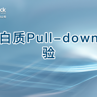 蛋白质Pull-down实验