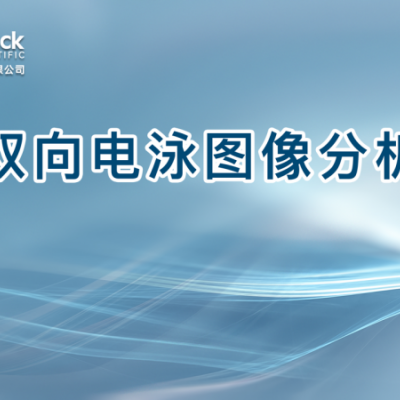 双向电泳图像分析