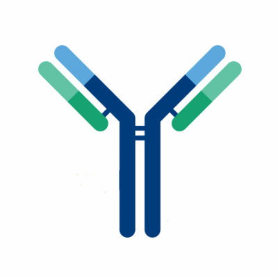 兔抗羊驼 VHH Antibody