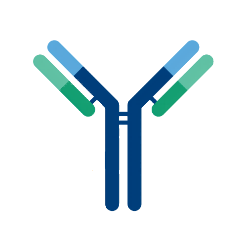 兔抗羊驼 IgG2 Antibody