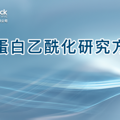 组蛋白乙酰化研究方法