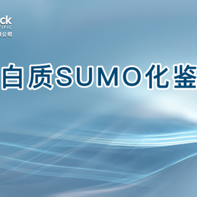 蛋白质SUMO化鉴定