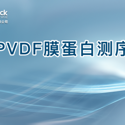 PVDF膜蛋白测序