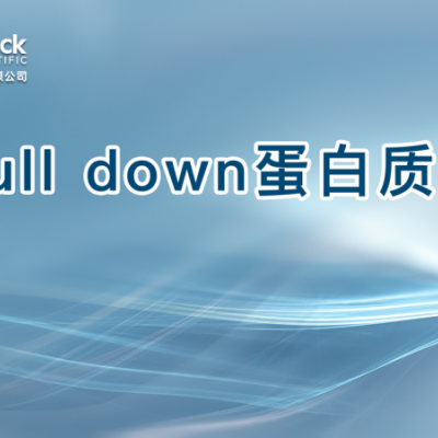 pull down蛋白质谱