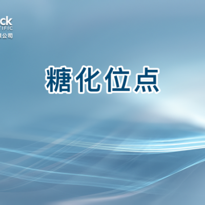 糖化位点