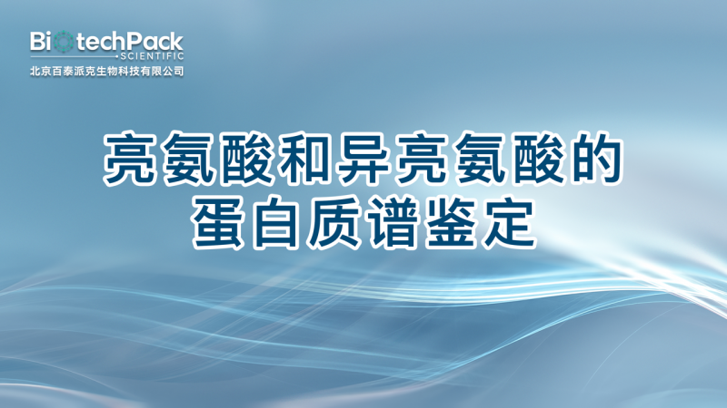 亮氨酸和异亮氨酸的蛋白质谱鉴定图1