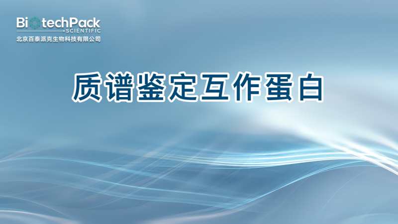 质谱鉴定互作蛋白图1