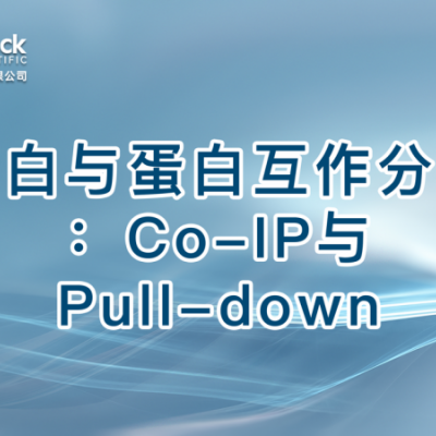 蛋白与蛋白互作分析：Co-IP与Pull-down