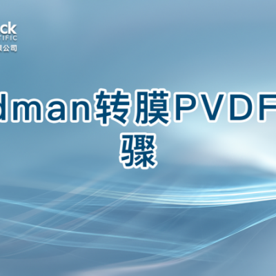 Edman转膜PVDF步骤